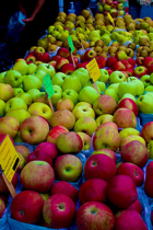 Varieties of locally grown apples at the Farmers' Market by Merrill Hatlen