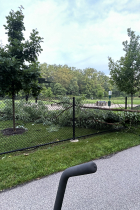 Fallen tree damage to fence